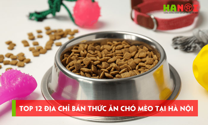 12-dia-chi-ban-thuc-an-cho-meo-tai-ha-noi-da-dang-de-lua-chon-hanoitoplist