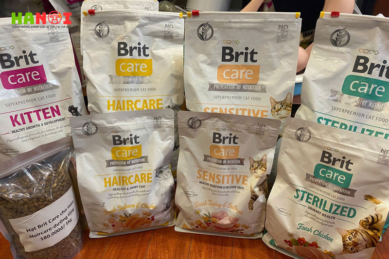 Jin-jin-pet-shop-hanoitoplist