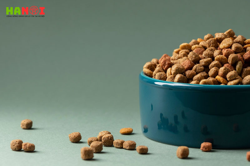 Mat-pet-family-1-hanoitoplist