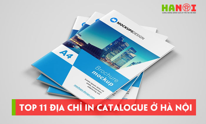 Top-11-dia-chi-in-catalogue-o-ha-noi-sac-net-dap-ung-nhanh-hanoitoplist